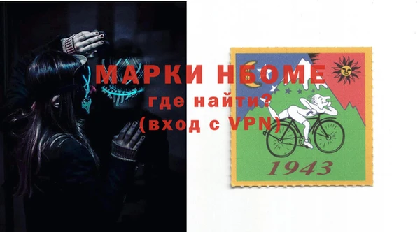 индика Алексин