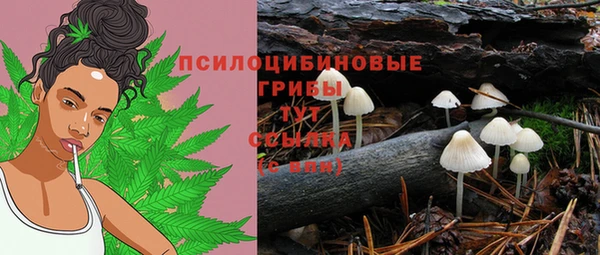 apvp Абинск