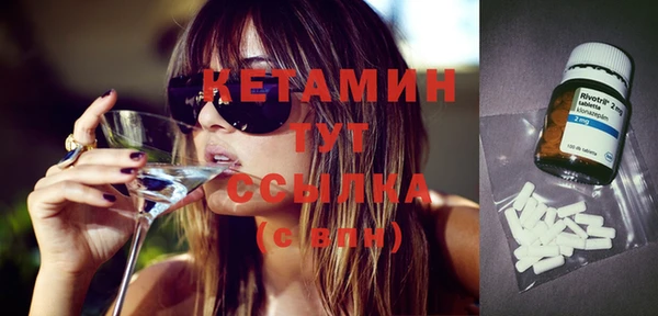 индика Алексин