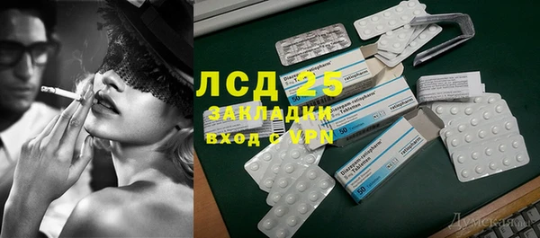 индика Алексин