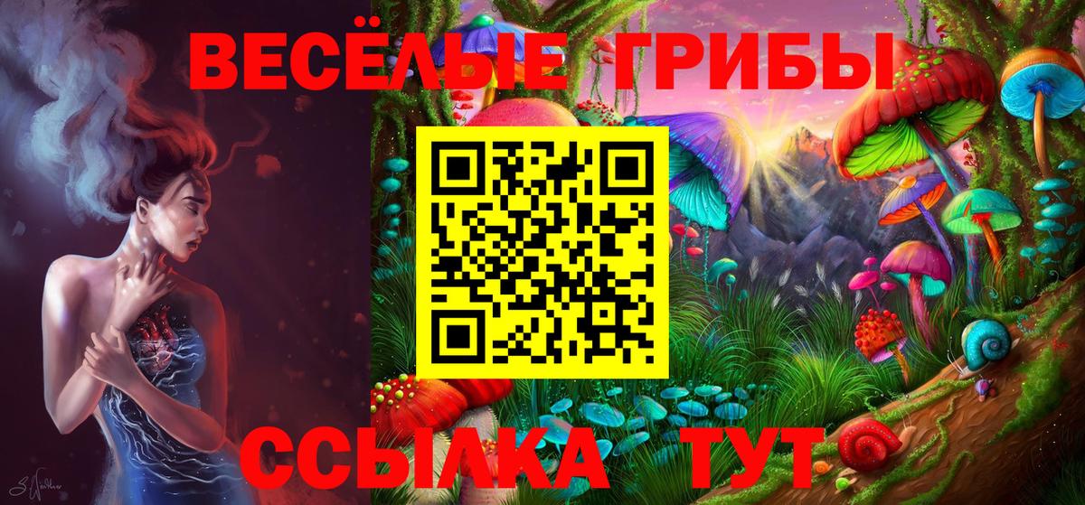 где купить   Вход с VPN  Галлюциногенные грибы MAGIC MUSHROOMS  Ефремов  Галлюциногенные грибы ЛСД 