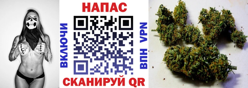 ссылка на мегу как зайти Ефремов Марихуана OG Kush